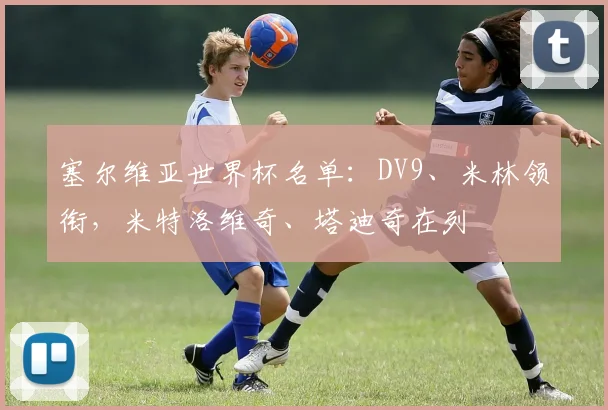 塞尔维亚世界杯名单：DV9、米林领衔，米特洛维奇、塔迪奇在列
