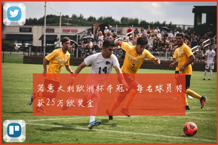 若意大利欧洲杯夺冠，每名球员将获25万欧奖金